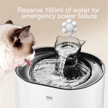 Fontaine Petavista 2.2L